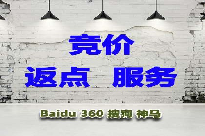百度竞价广告的投放策略与成功案例分析